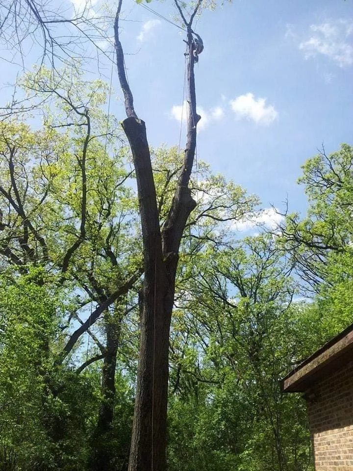 Top-rated outdoor landscaping in Lake Zurich, IL by Top Notch Services