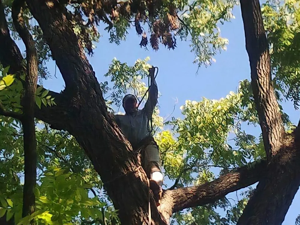 Expert lawn care service in Lake Zurich, IL by Top Notch Services