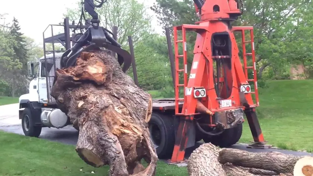 Professional lawn care service in Lake Zurich, IL by Top Notch Services