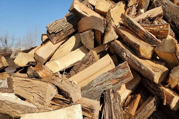 Top-rated lawn care service near you in Lake Zurich, IL by Top Notch Services