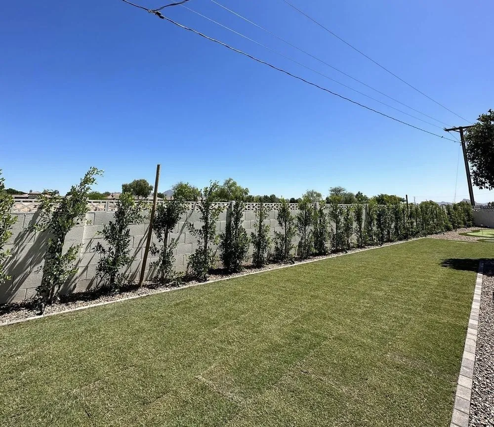 Affordable landscape design experts serving Albuquerque, NM - Top Notch Solutions