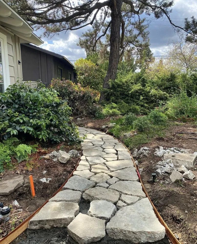 Expert yard cleanup service in Albuquerque, NM by Top Notch Solutions