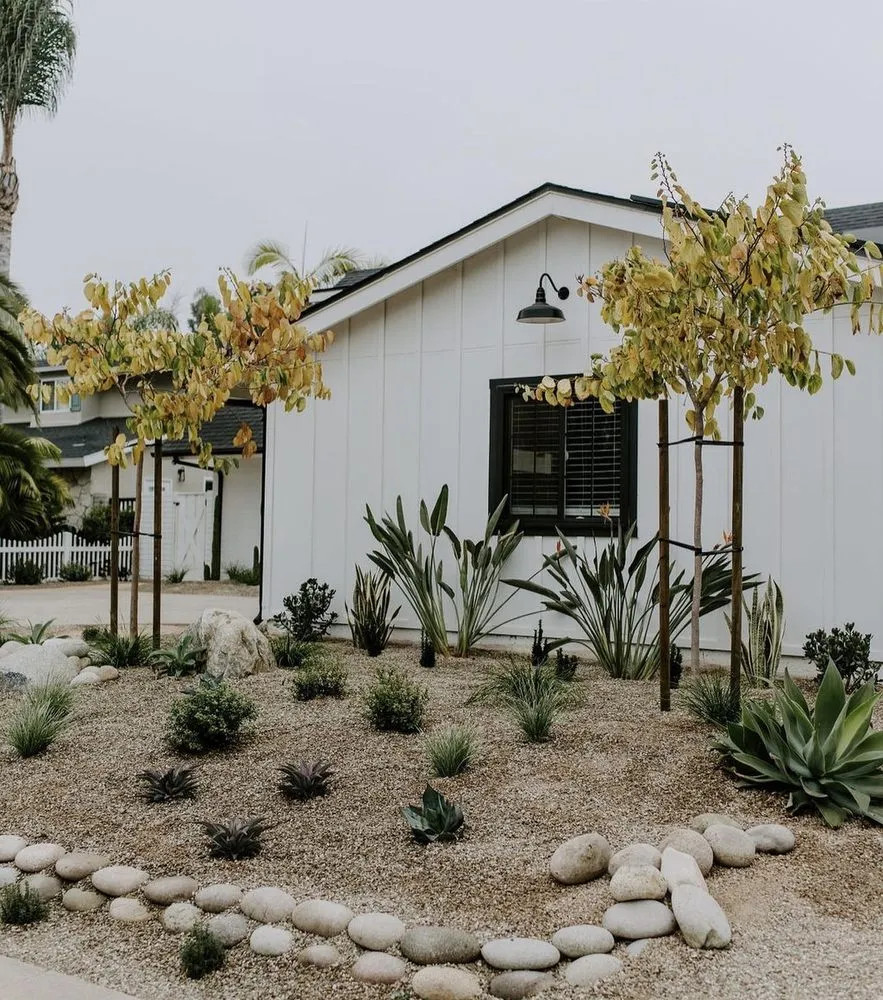 Trusted landscaping services for homes in Albuquerque, NM by Top Notch Solutions