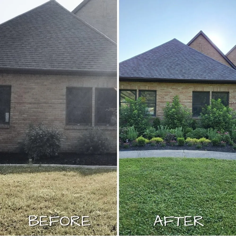 Expert yard cleanup service experts serving Albuquerque, NM - Top Notch Solutions