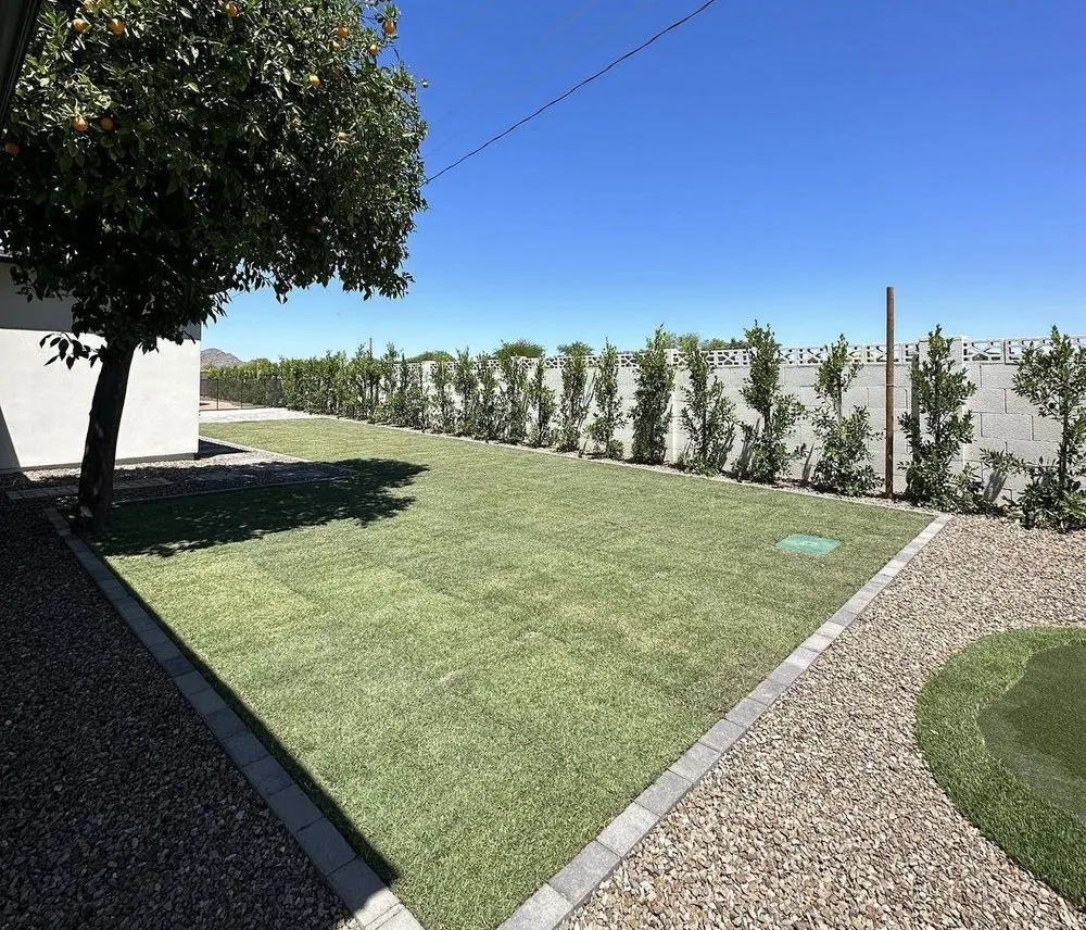 Top-rated yard cleanup service experts serving Albuquerque, NM - Top Notch Solutions