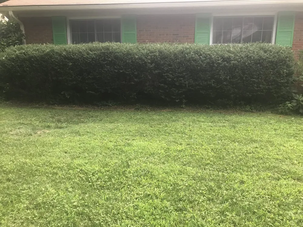 Trusted landscaping services experts serving Pageland, SC - Top Notch Techs Servicemasters