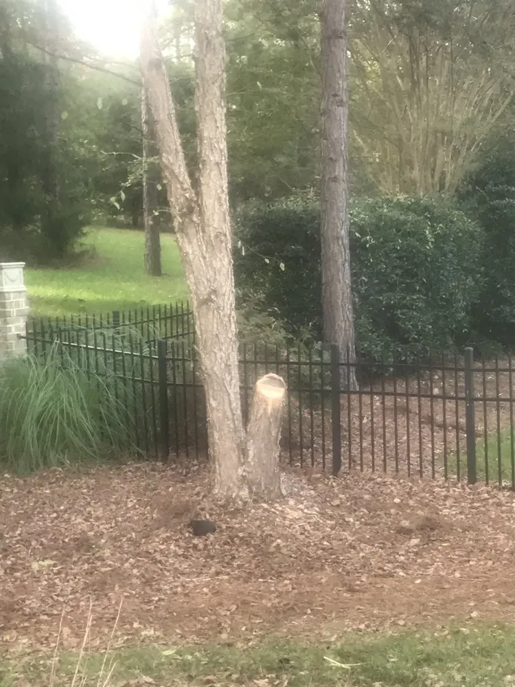 Affordable yard maintenance for outdoor upgrades across Pageland, SC - Top Notch Techs Servicemasters