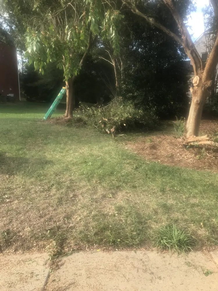 Top-rated lawn care service in Pageland, SC by Top Notch Techs Servicemasters