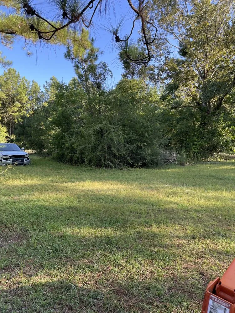 Trusted yard maintenance experts serving Lucedale, MS - Top Notch Tractor & Tree