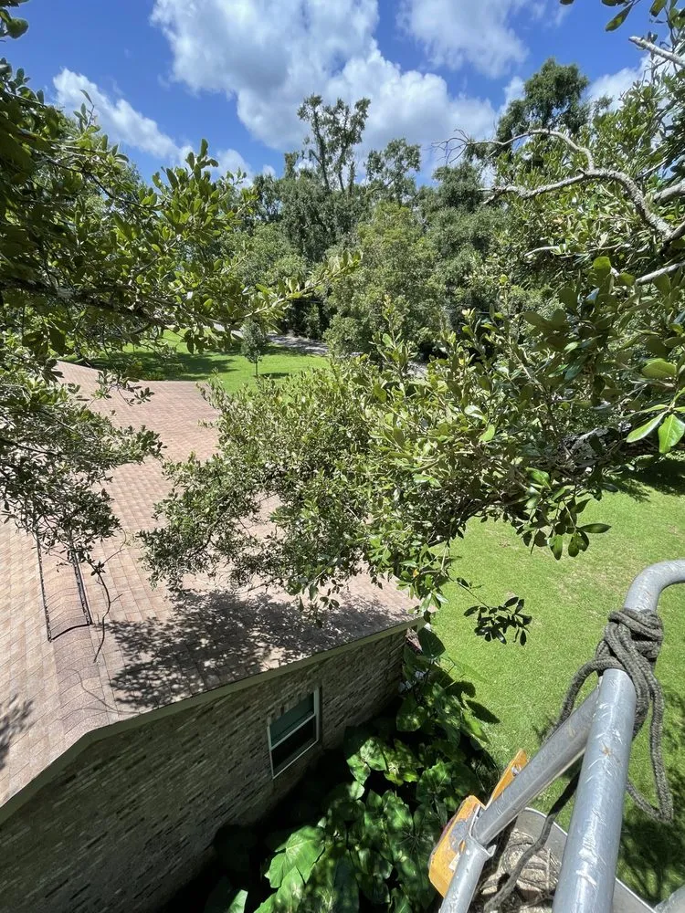 Reliable lawn mowing service for beautiful yards across Lucedale, MS - Top Notch Tractor & Tree