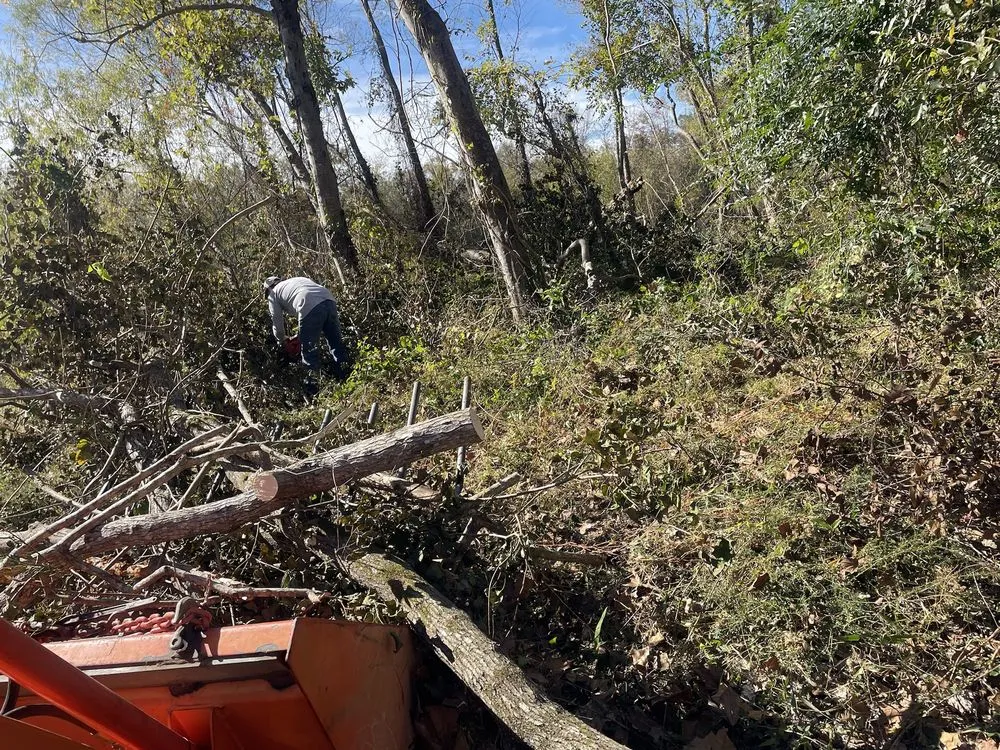 Trusted outdoor landscaping experts serving Lucedale, MS - Top Notch Tractor & Tree