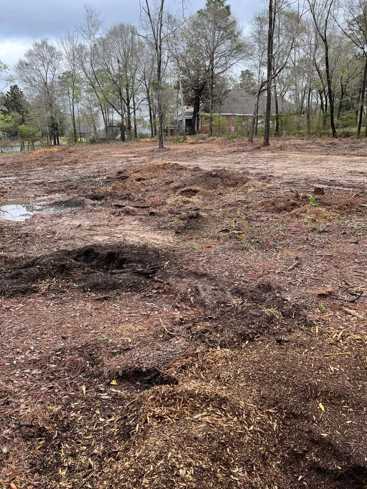 Trusted landscape design for beautiful yards across Lucedale, MS - Top Notch Tractor & Tree