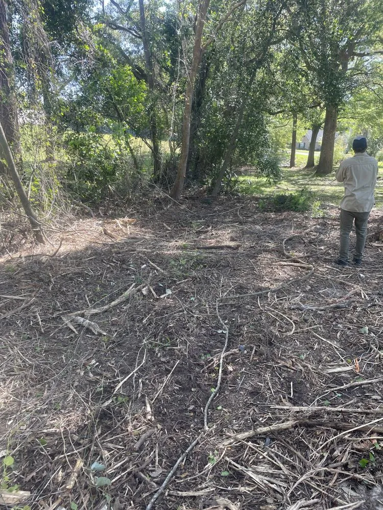 Professional outdoor landscaping experts serving Lucedale, MS - Top Notch Tractor & Tree