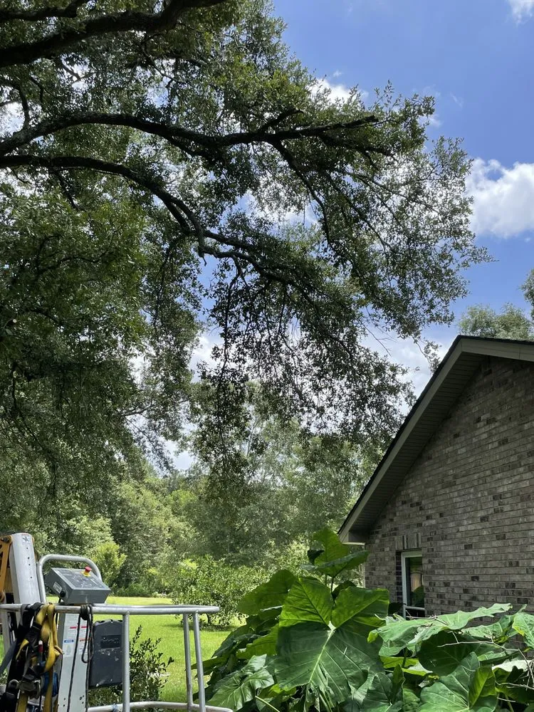 Affordable outdoor landscaping for outdoor upgrades in Lucedale, MS by Top Notch Tractor & Tree