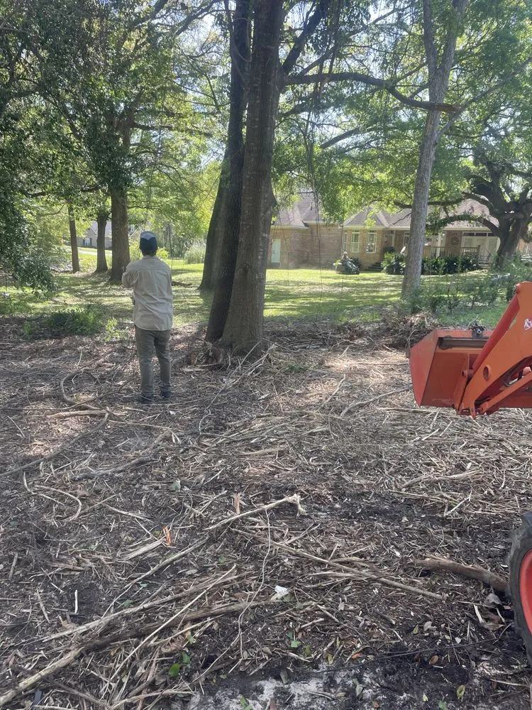 Professional landscape design in Lucedale, MS by Top Notch Tractor & Tree