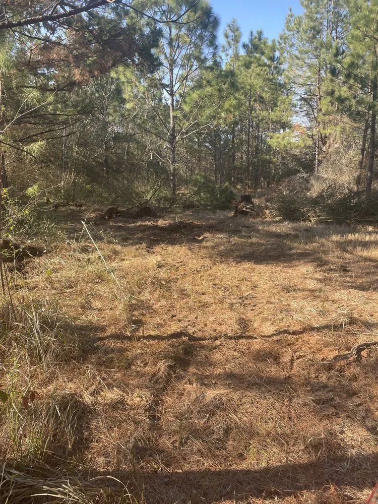 Trusted yard maintenance with custom design in Lucedale, MS by Top Notch Tractor & Tree