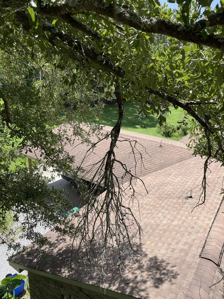 Custom landscaping services experts serving Lucedale, MS - Top Notch Tractor & Tree