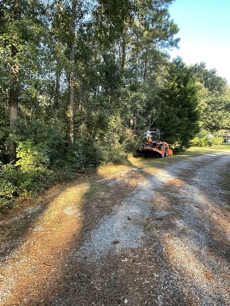 Affordable garden landscaping experts serving Lucedale, MS - Top Notch Tractor & Tree