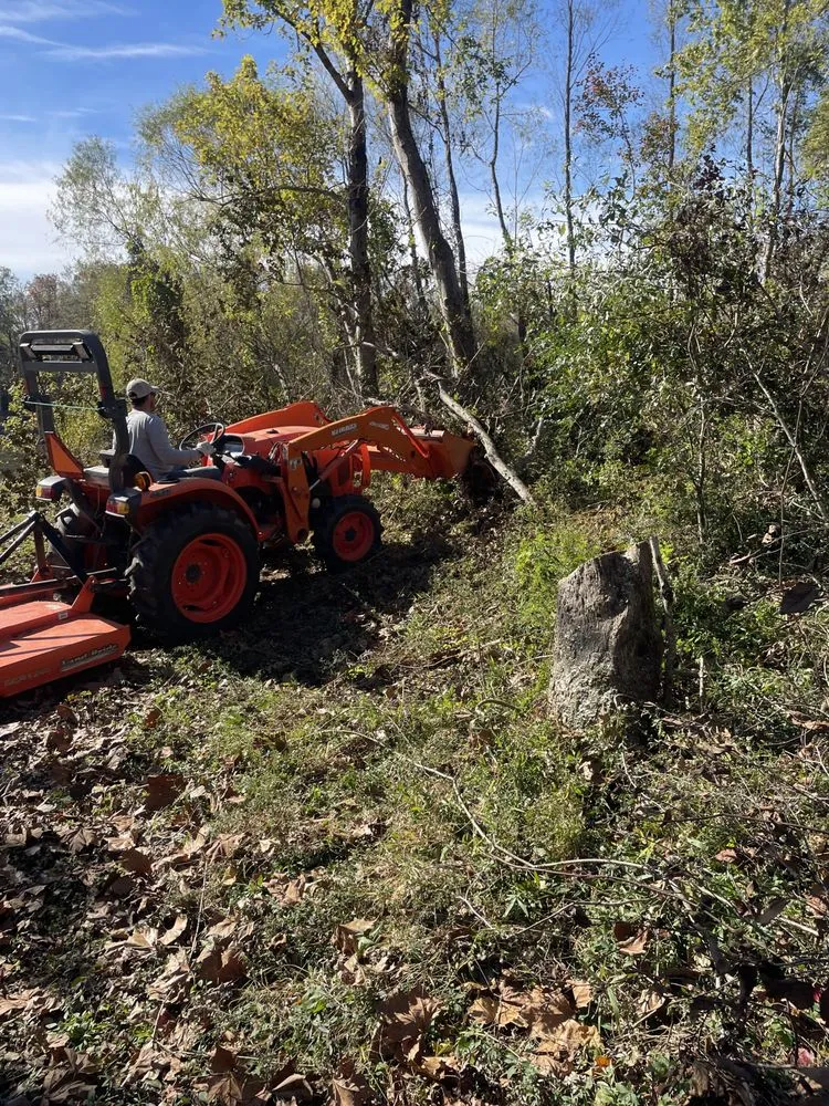 Reliable yard maintenance in Lucedale, MS by Top Notch Tractor & Tree
