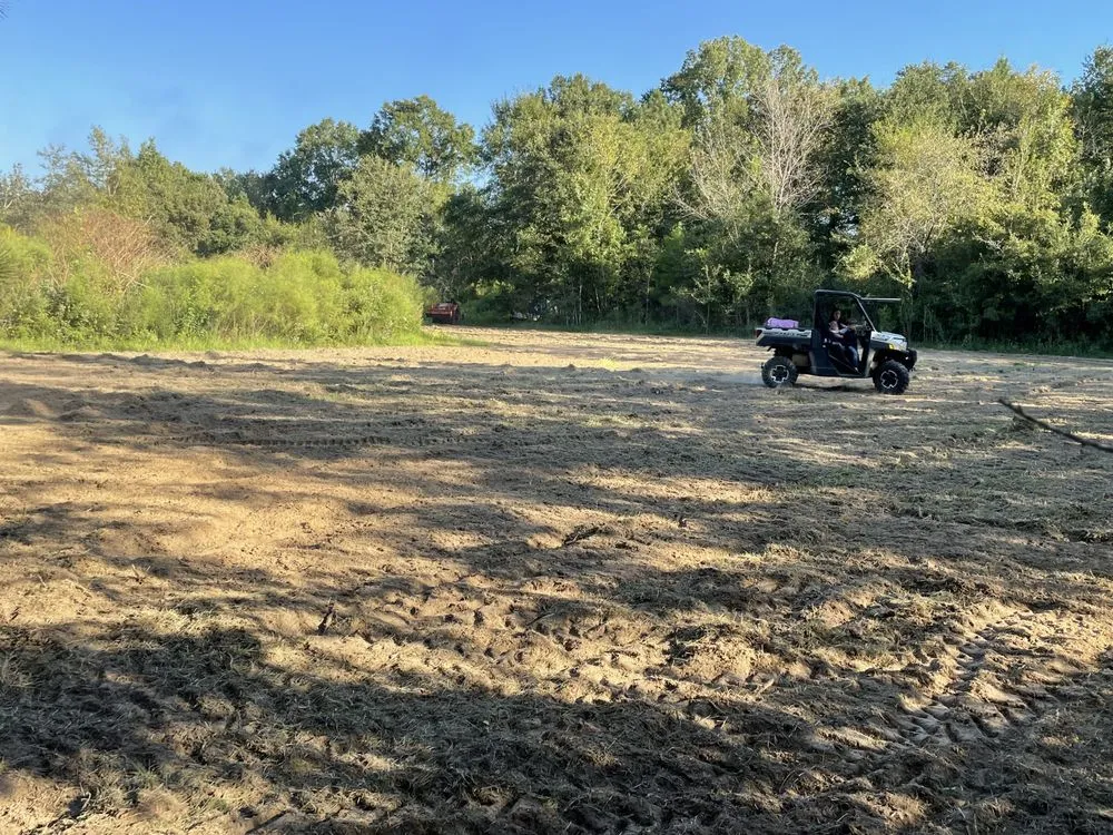 Reliable yard cleanup service in Lucedale, MS - Top Notch Tractor & Tree