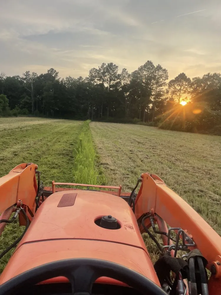 Local residential landscaping experts serving Lucedale, MS - Top Notch Tractor & Tree