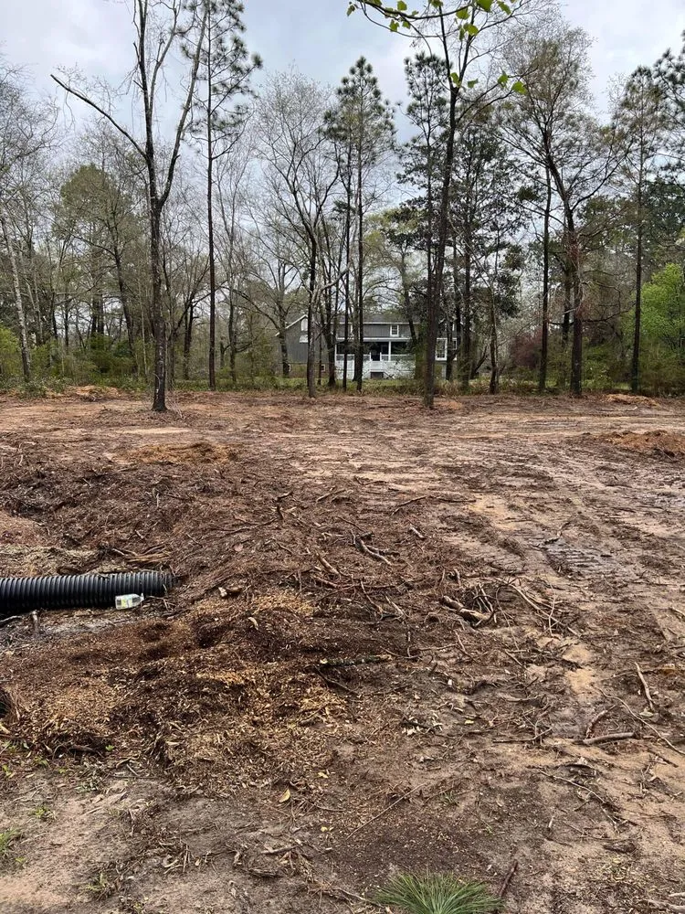 Trusted yard cleanup service near you in Lucedale, MS by Top Notch Tractor & Tree