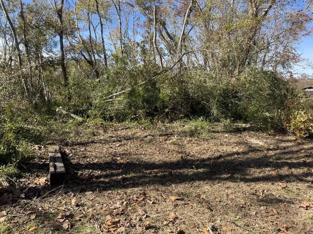 Top-rated garden landscaping for outdoor upgrades across Lucedale, MS - Top Notch Tractor & Tree