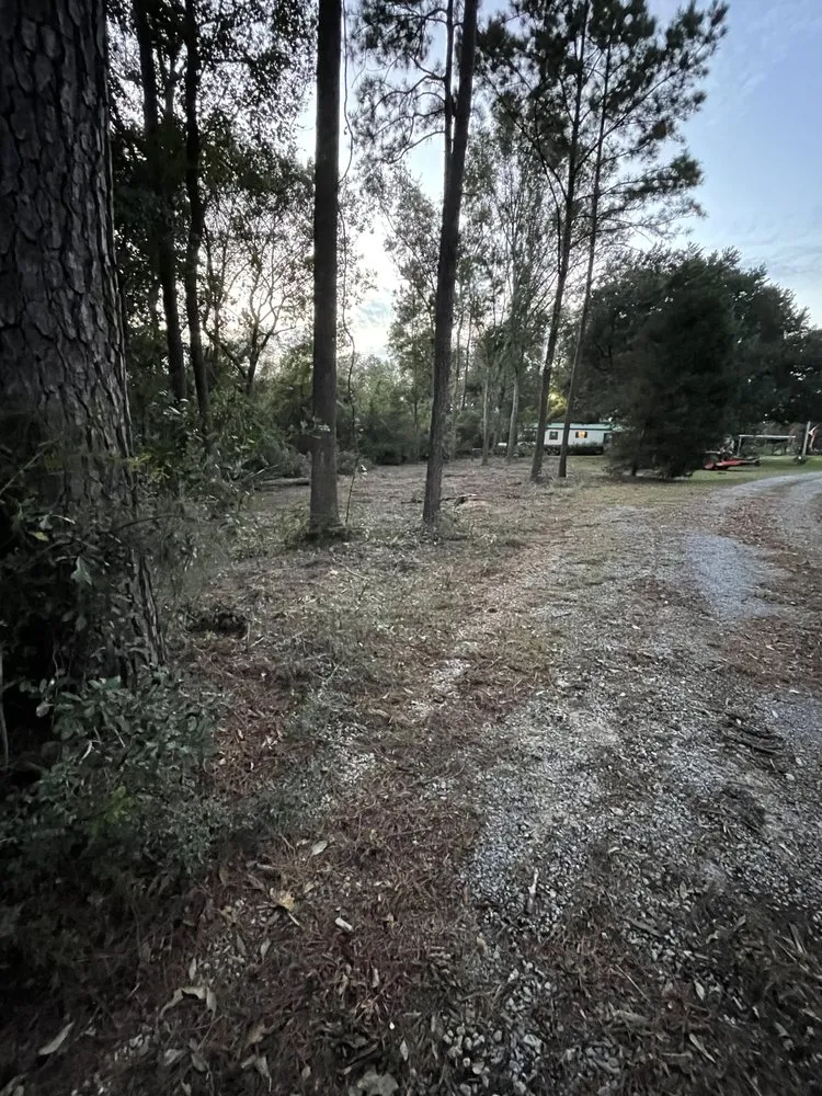 Professional outdoor landscaping for residential properties in Lucedale, MS by Top Notch Tractor & Tree