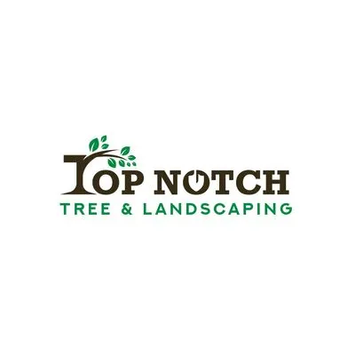 Top Notch Tree & Landscaping