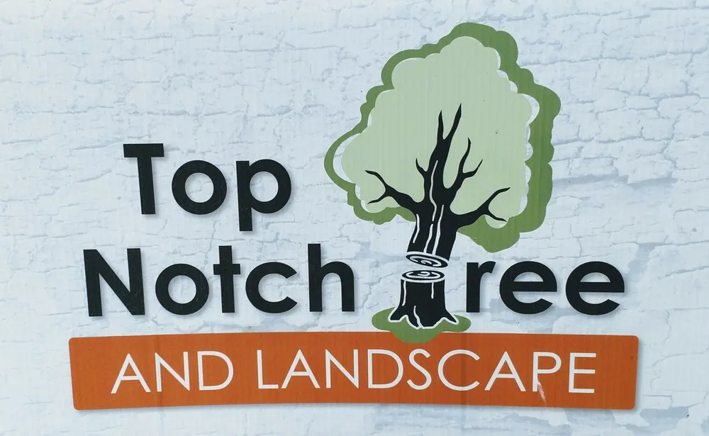 Trusted outdoor landscaping experts serving Carlisle, PA - Top Notch Tree And Landscape