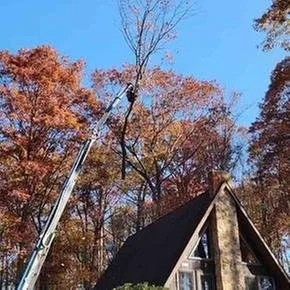 Local landscaping services in Carlisle, PA - Top Notch Tree And Landscape