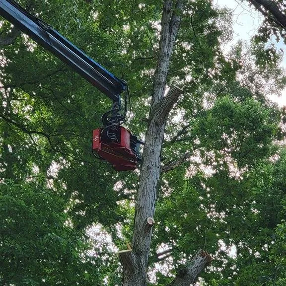 Trusted lawn mowing service for beautiful yards across Carlisle, PA - Top Notch Tree And Landscape