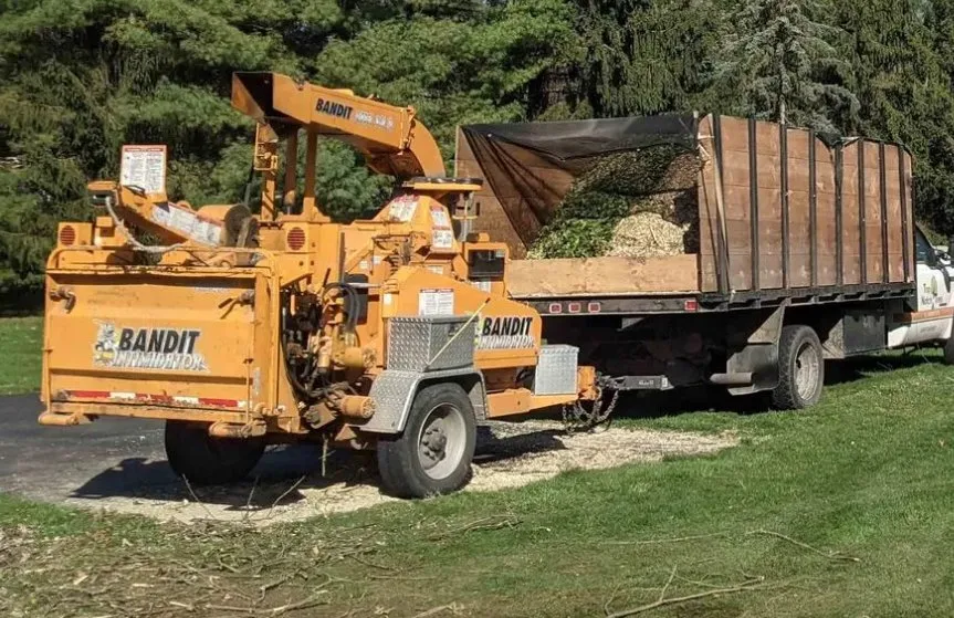 Local yard cleanup service in Carlisle, PA - Top Notch Tree And Landscape