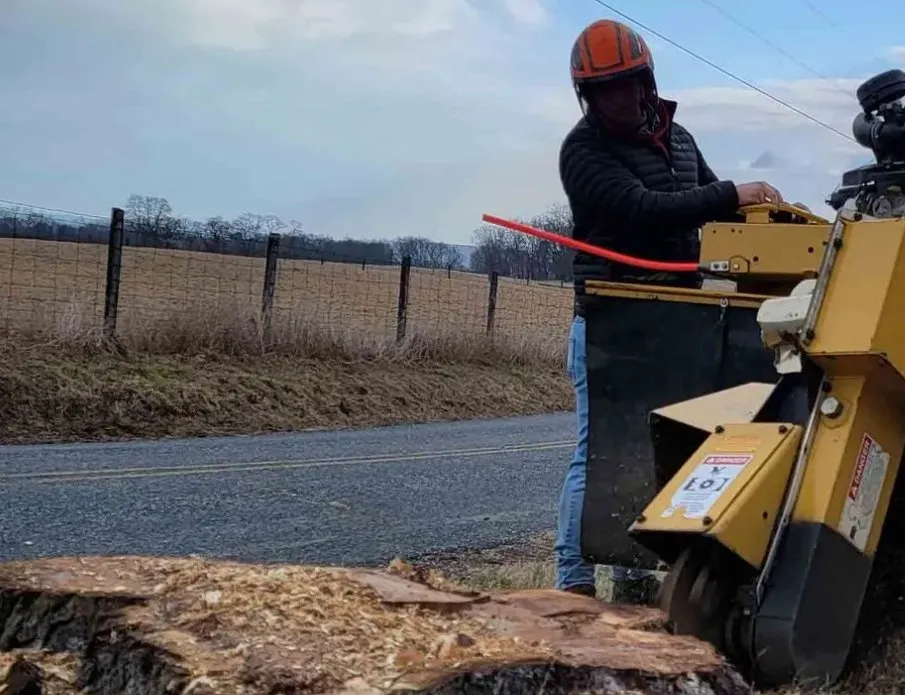 Top-rated landscaping services in Carlisle, PA by Top Notch Tree And Landscape