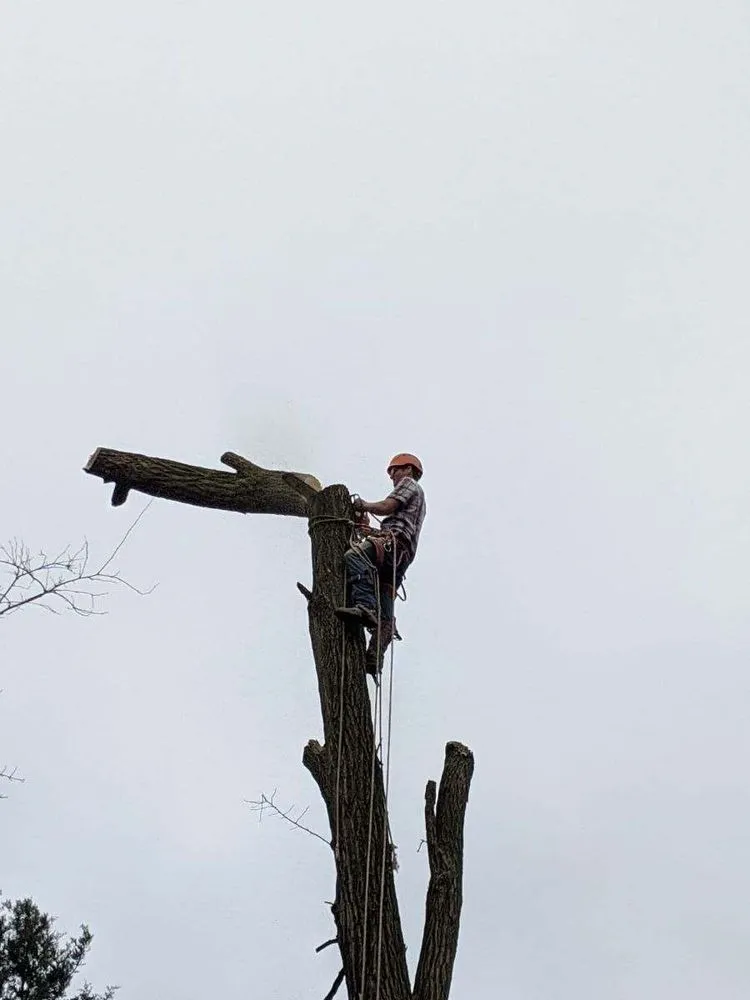 Affordable lawn mowing service in Carlisle, PA by Top Notch Tree And Landscape