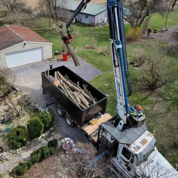 Top-rated outdoor landscaping in Carlisle, PA - Top Notch Tree And Landscape