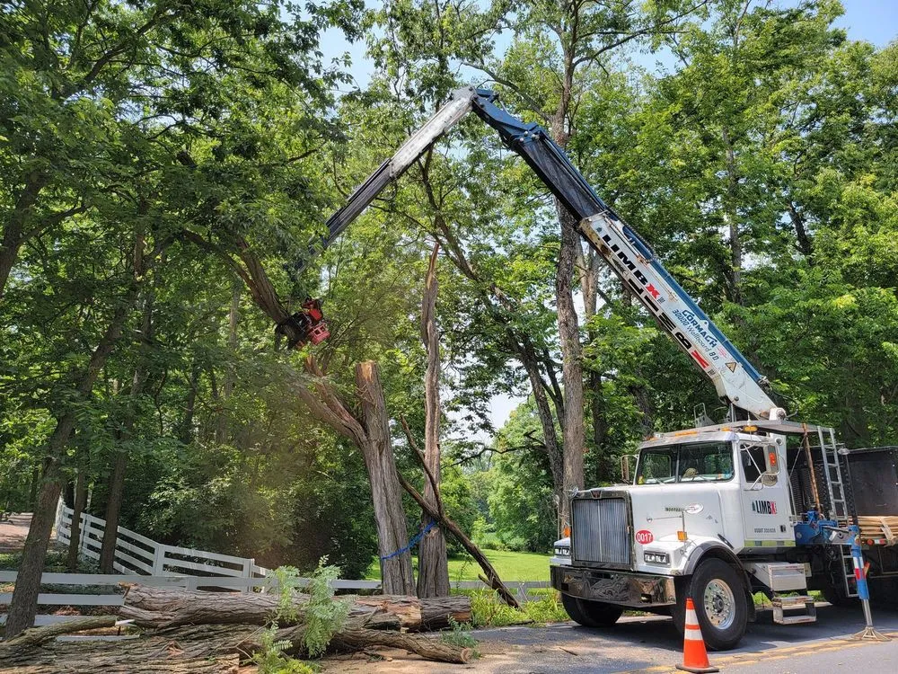 Expert yard maintenance for residential properties across Carlisle, PA - Top Notch Tree And Landscape
