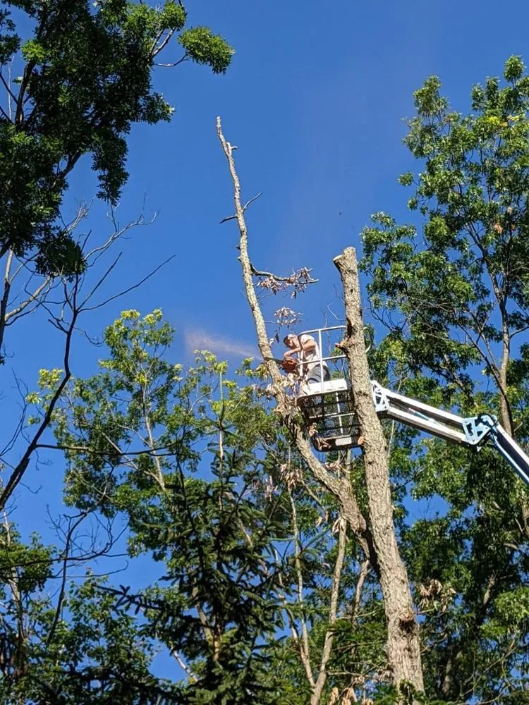 Professional outdoor landscaping experts serving Carlisle, PA - Top Notch Tree And Landscape