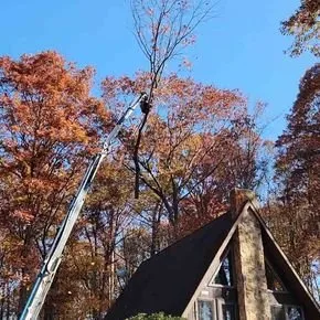 Custom landscaping services experts serving Carlisle, PA - Top Notch Tree And Landscape