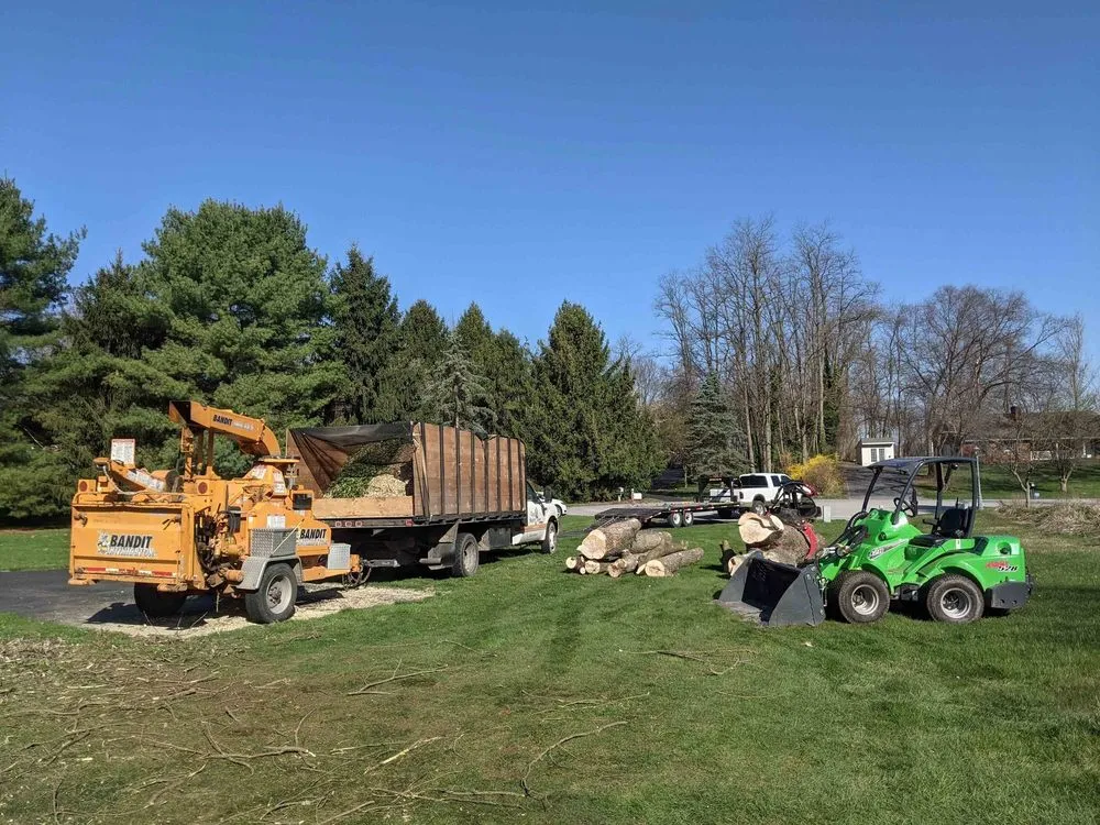 Expert yard maintenance for outdoor upgrades in Carlisle, PA by Top Notch Tree And Landscape