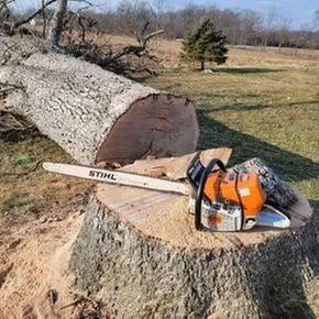 Top-rated yard cleanup service in Carlisle, PA - Top Notch Tree And Landscape