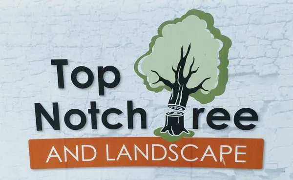 Top Notch Tree And Landscape Logo