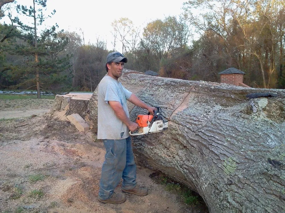 Top-rated residential landscaping experts serving Seneca, SC - Top Notch Tree and Lawn Service