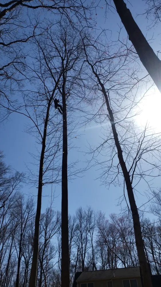 Affordable landscape design experts serving Warminster, PA - Top Notch Tree Care and Landscaping