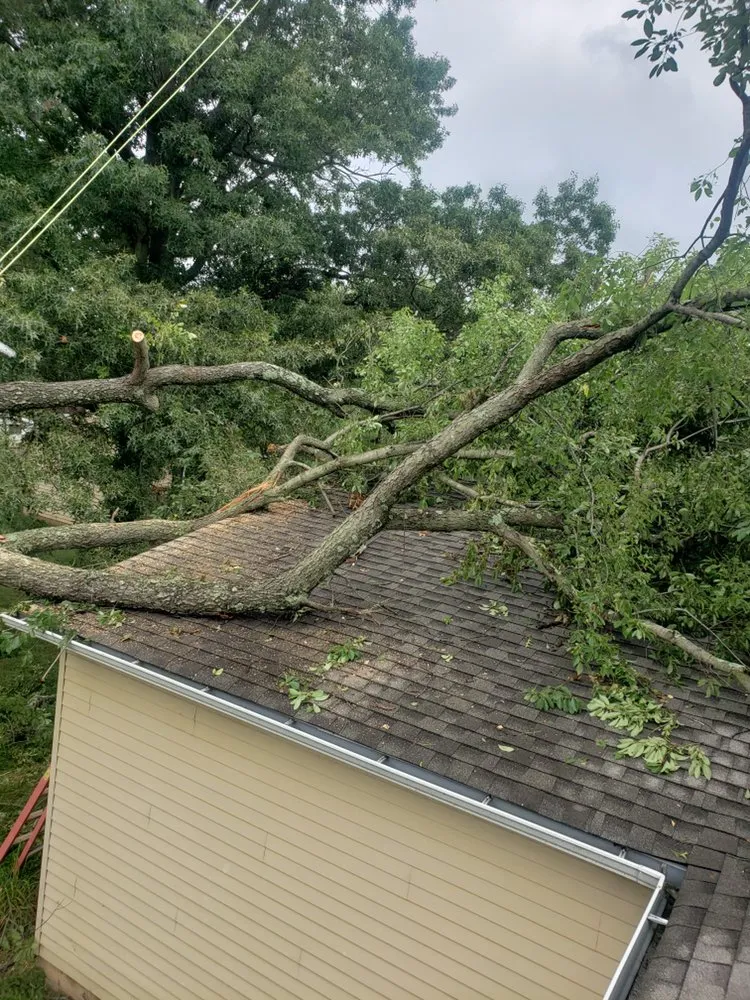 Local lawn care service in Warminster, PA by Top Notch Tree Care and Landscaping