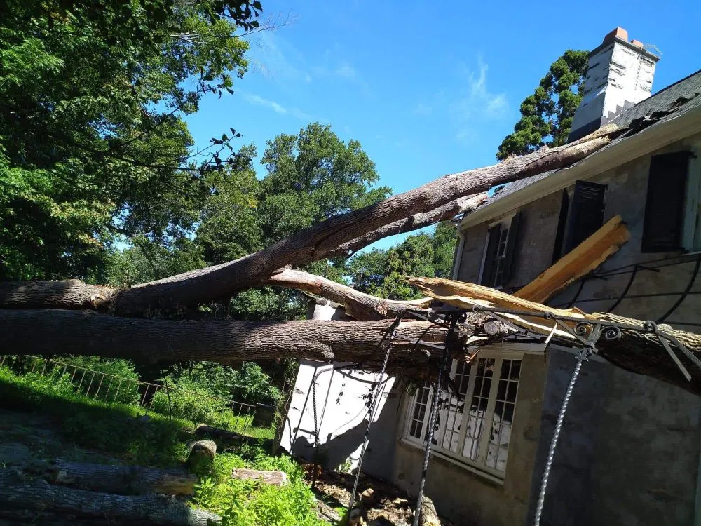 Trusted lawn care service with custom design in Warminster, PA by Top Notch Tree Care and Landscaping