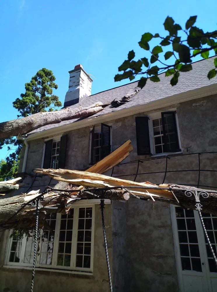Local landscape installation in Warminster, PA - Top Notch Tree Care and Landscaping