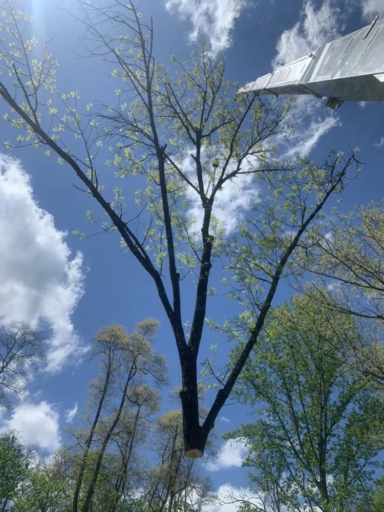 Local landscape installation experts serving Warminster, PA - Top Notch Tree Care and Landscaping