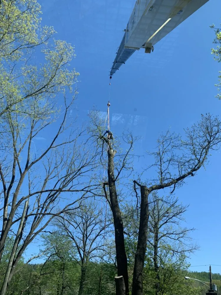 Local garden landscaping in Warminster, PA - Top Notch Tree Care and Landscaping