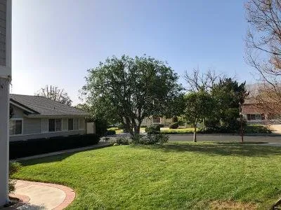 Reliable yard cleanup service experts serving Simi Valley, CA - Top Notch Tree Care